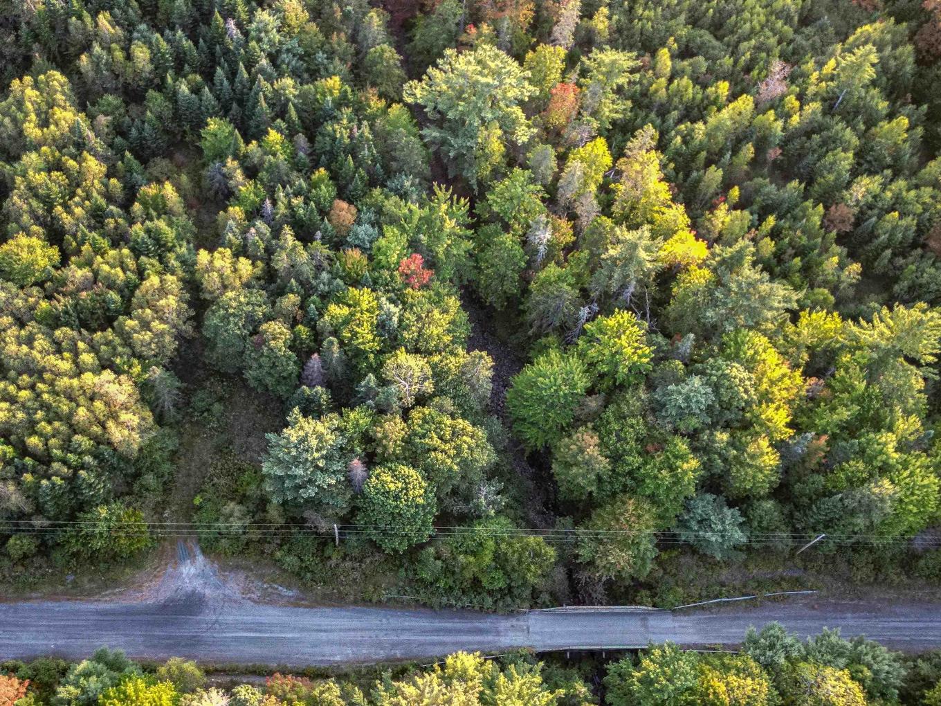 Lot Chesley Road, Barss Corner, NS