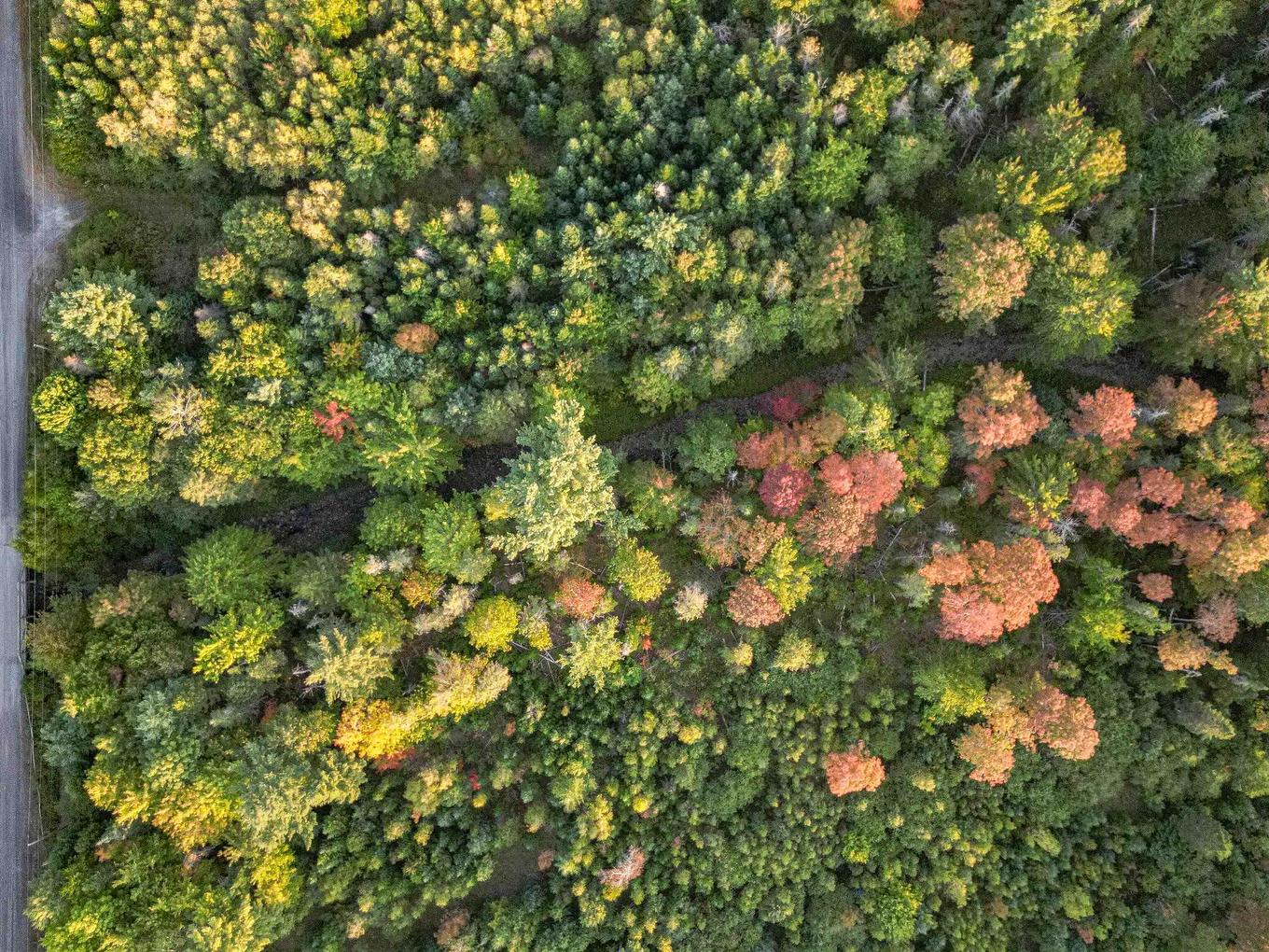 Lot Chesley Road, Barss Corner, NS