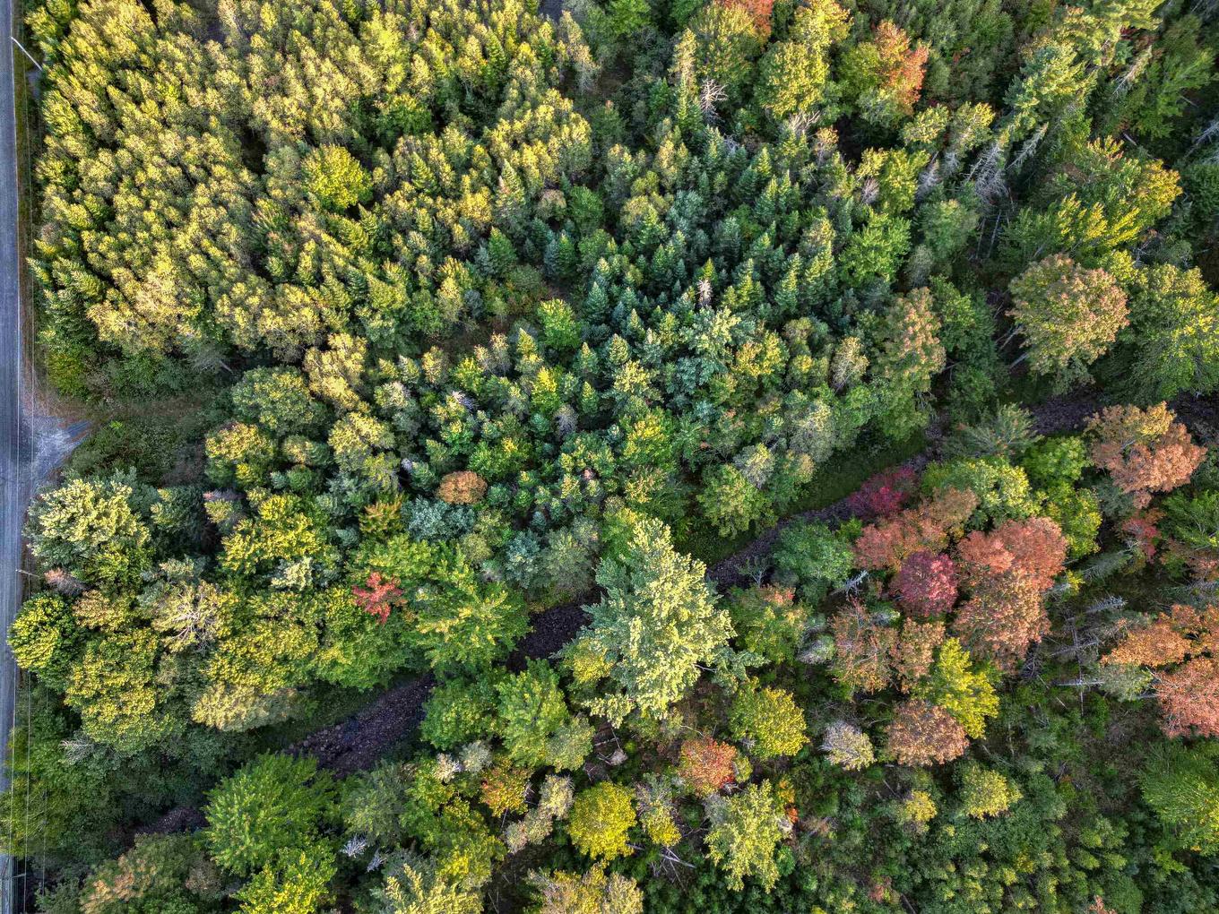 Lot Chesley Road, Barss Corner, NS