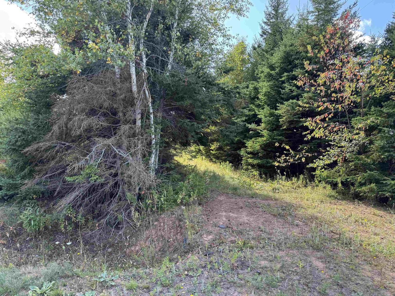 Sparrows Road, St. Peters Bay, PE