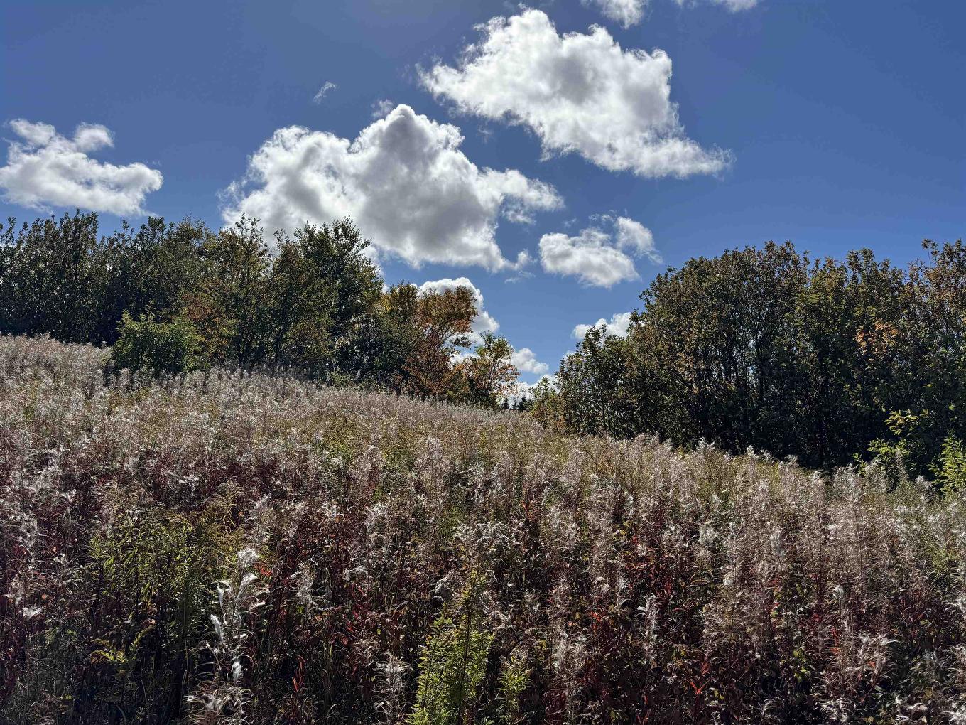 Sparrows Road, St. Peters Bay, PE