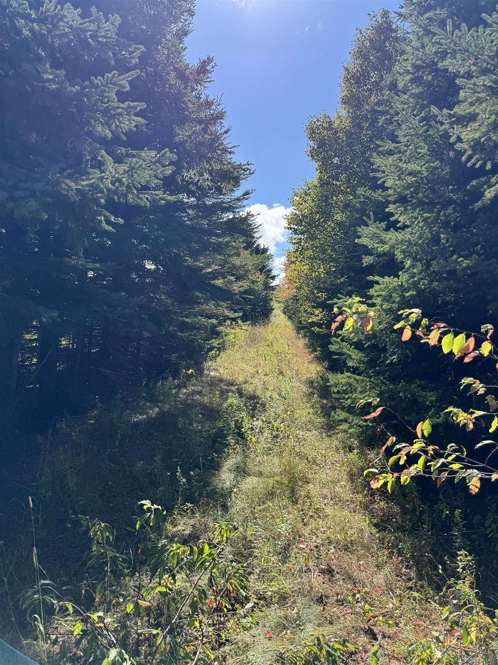 Sparrows Road, St. Peters Bay, PE