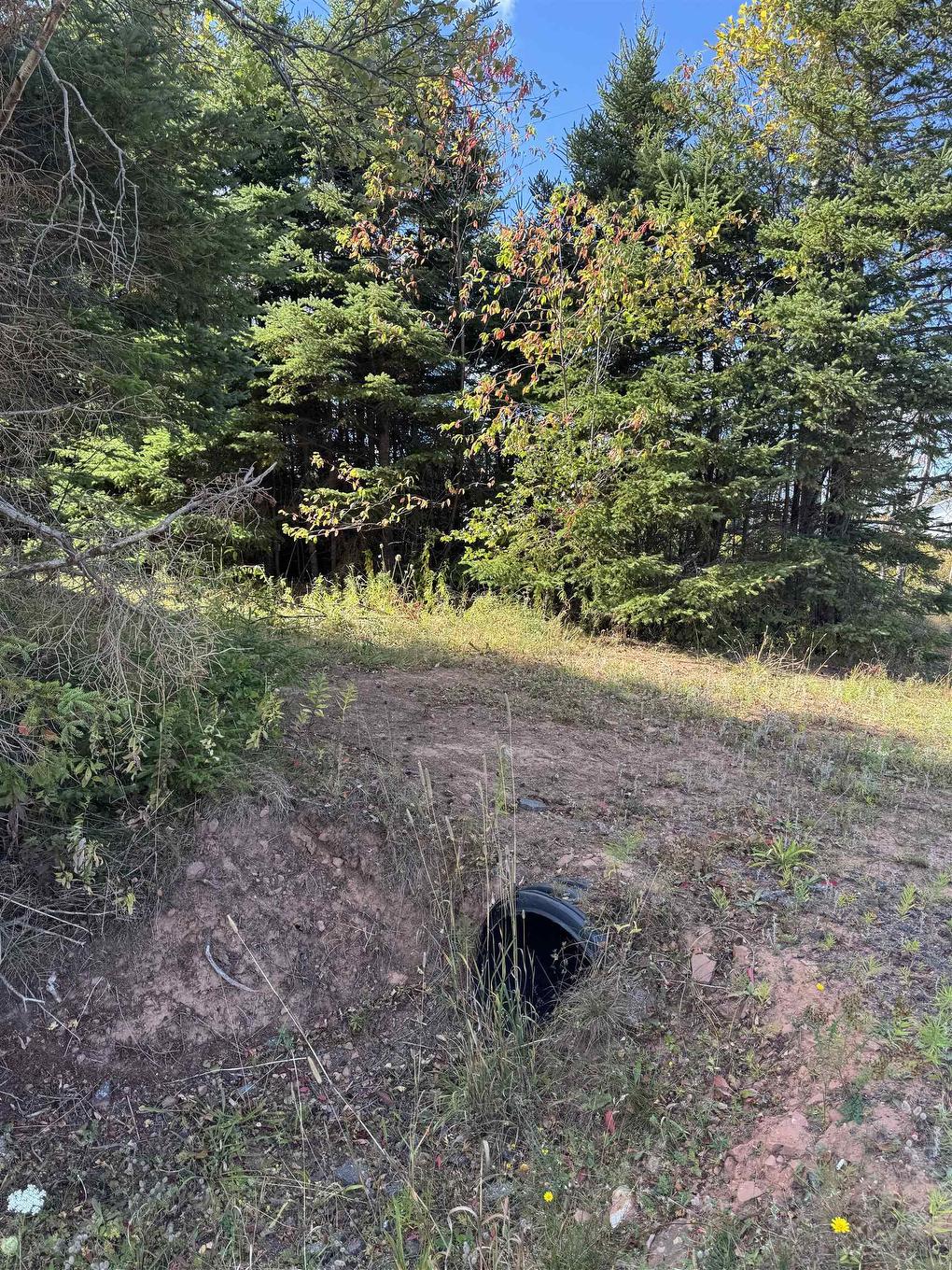 Sparrows Road, St. Peters Bay, PE