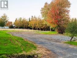 399 Water Street Bay Roberts, NL A0A 1G0