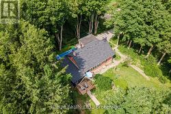 Large Trees and Greenery Surround this Property -