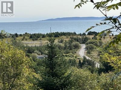 16 Johnsons Road, Gull Island, NL - Outdoor With Body Of Water With View