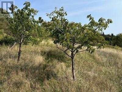 16 Johnsons Road, Gull Island, NL - Outdoor With View