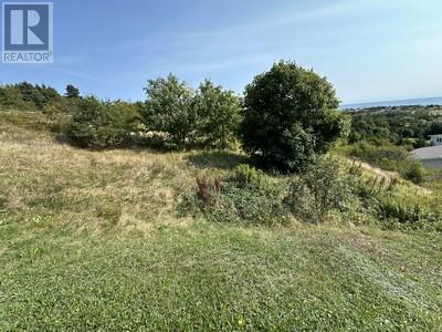 16 Johnsons Road, Gull Island, NL - Outdoor With View