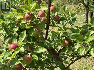 16 Johnsons Road, Gull Island, NL -