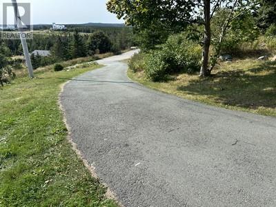 16 Johnsons Road, Gull Island, NL - Outdoor With View