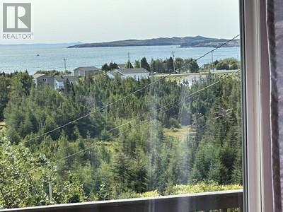 16 Johnsons Road, Gull Island, NL - Outdoor With Body Of Water With View