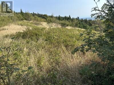 16 Johnsons Road, Gull Island, NL - Outdoor With View