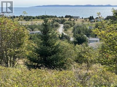 16 Johnsons Road, Gull Island, NL - Outdoor With Body Of Water With View