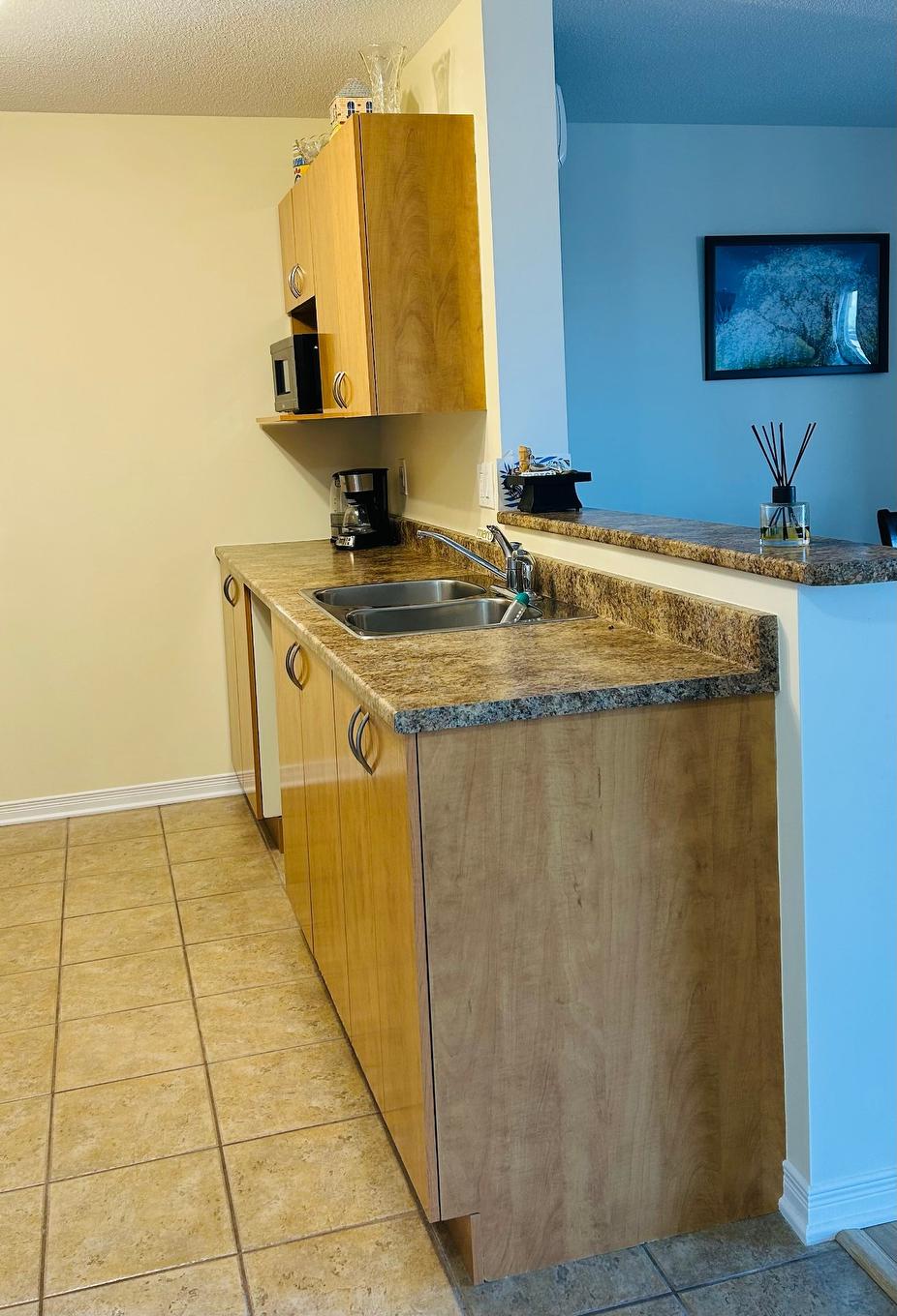 Cuisine - 409-525 Boul. De La Gappe, Gatineau (Gatineau), QC - Indoor Photo Showing Kitchen With Double Sink
