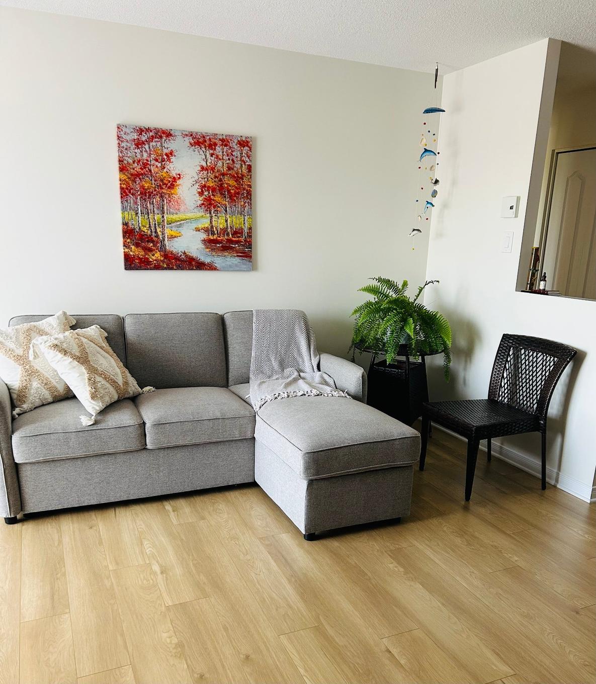 Salon - 409-525 Boul. De La Gappe, Gatineau (Gatineau), QC - Indoor Photo Showing Living Room