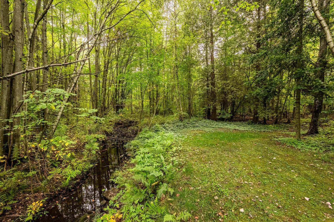 Cour - 943 Rue De La Roche, Granby, QC - Outdoor