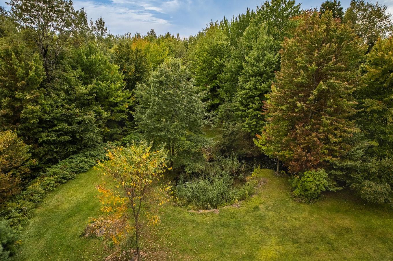 Terre/Terrain - 943 Rue De La Roche, Granby, QC - Outdoor With View