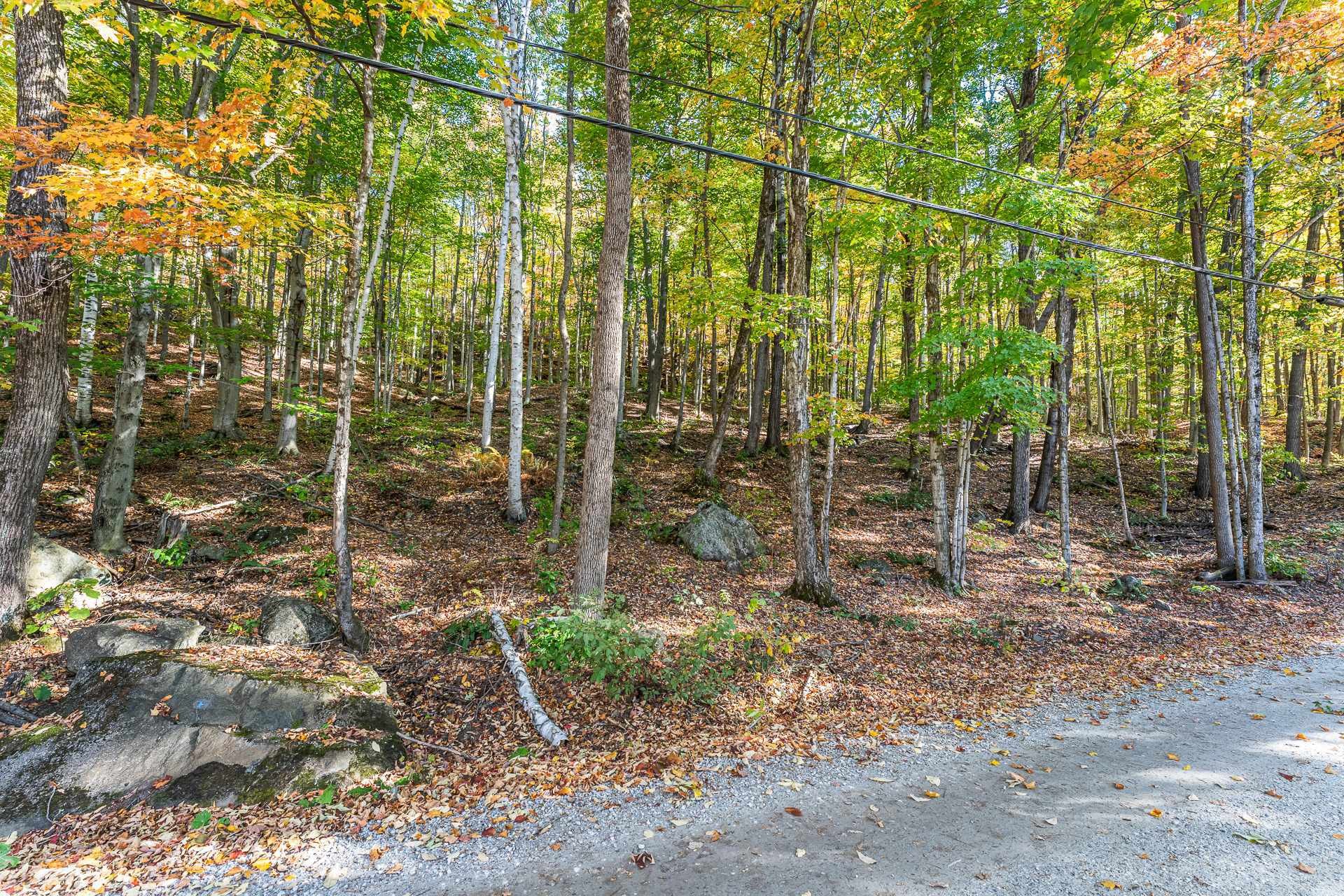 Terre/Terrain - Ch. Des Diligences, Austin, QC