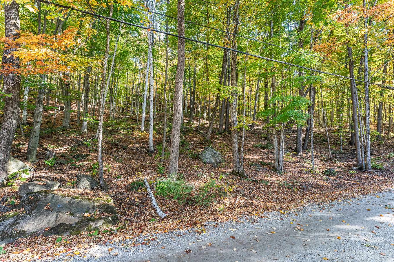 Land/Lot - Ch. Des Diligences, Austin, QC