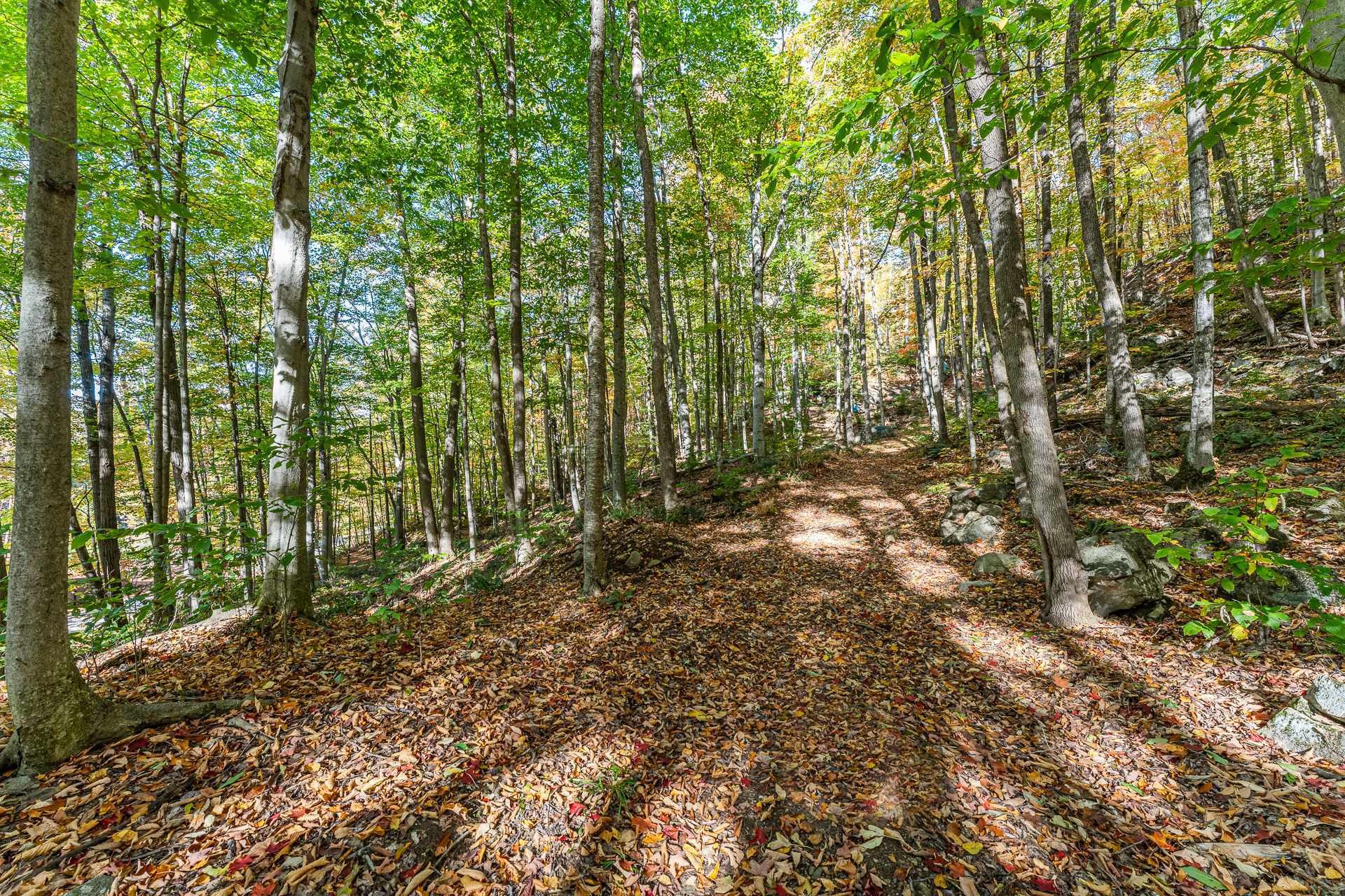 Terre/Terrain - Ch. Des Diligences, Austin, QC