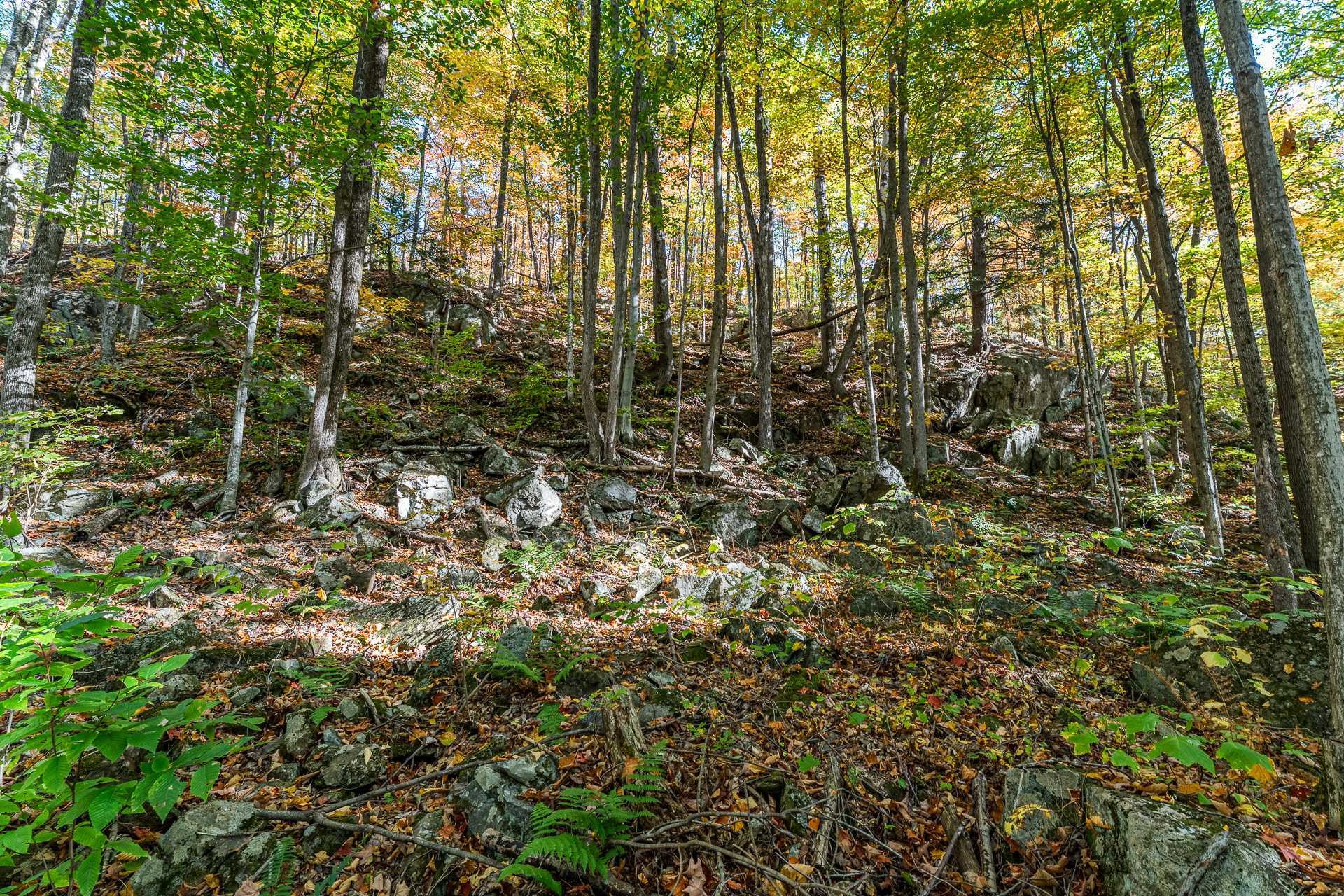 Terre/Terrain - Ch. Des Diligences, Austin, QC