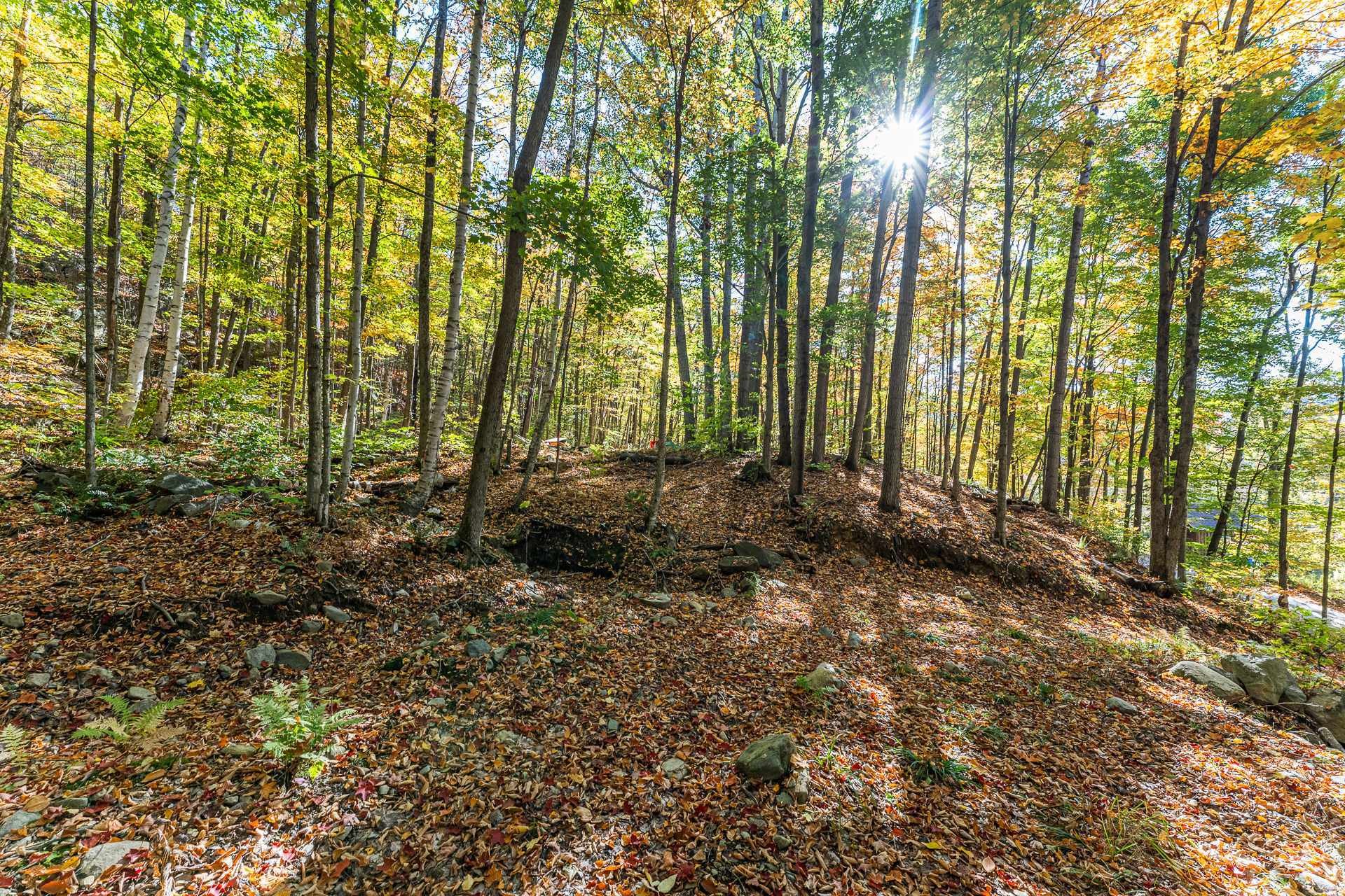 Terre/Terrain - Ch. Des Diligences, Austin, QC