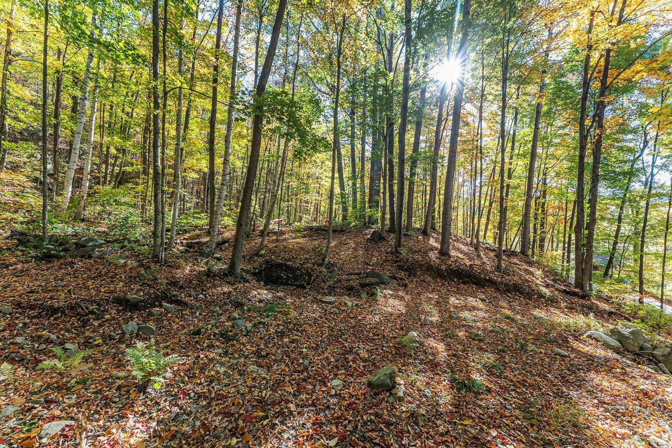 Land/Lot - Ch. Des Diligences, Austin, QC