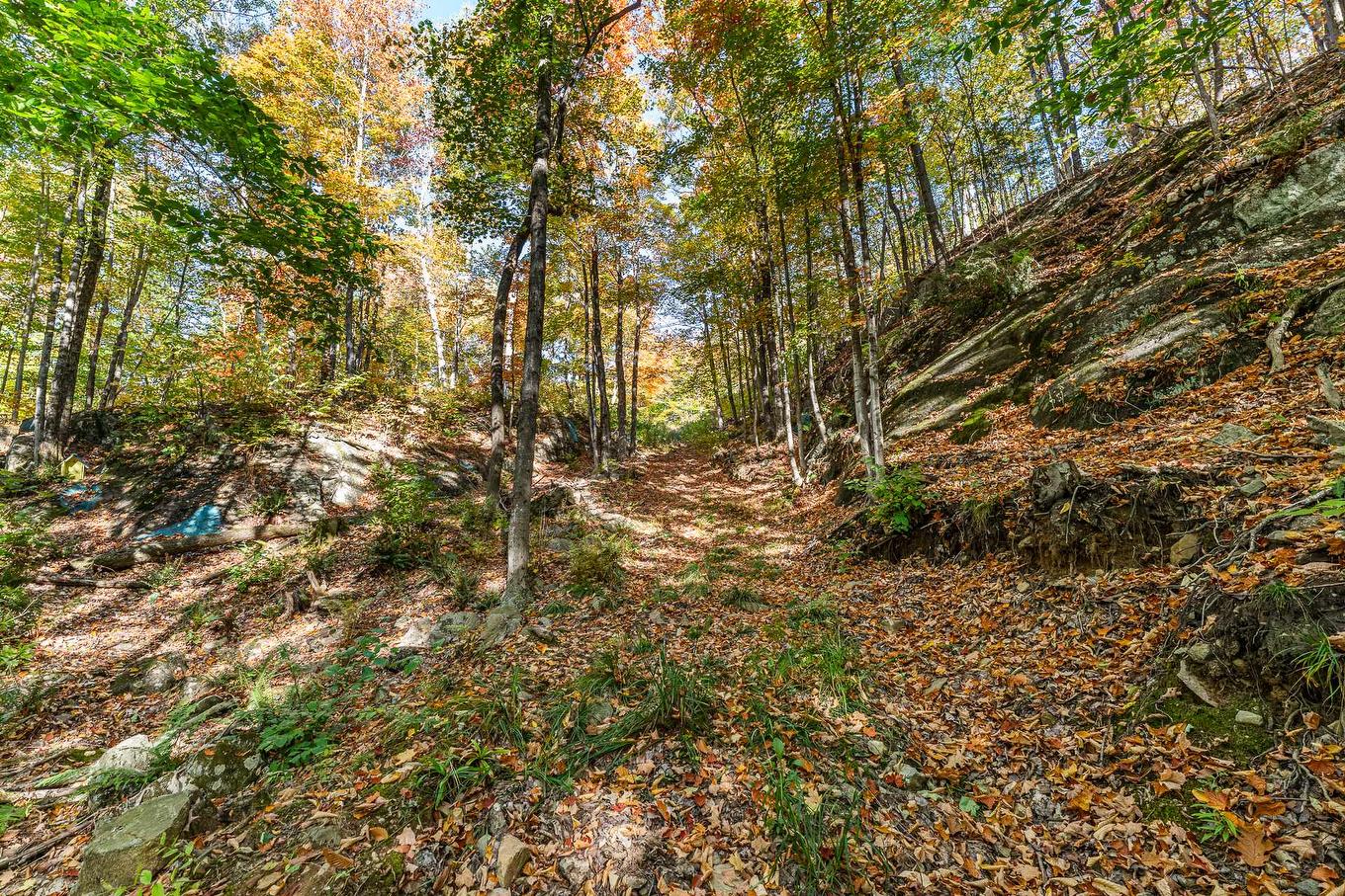 Land/Lot - Ch. Des Diligences, Austin, QC