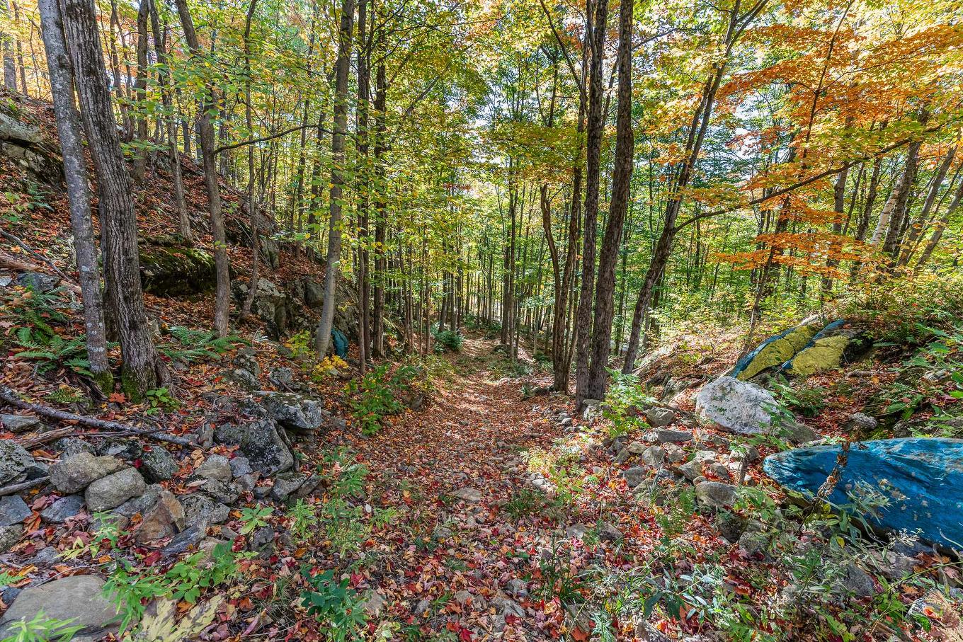 Land/Lot - Ch. Des Diligences, Austin, QC