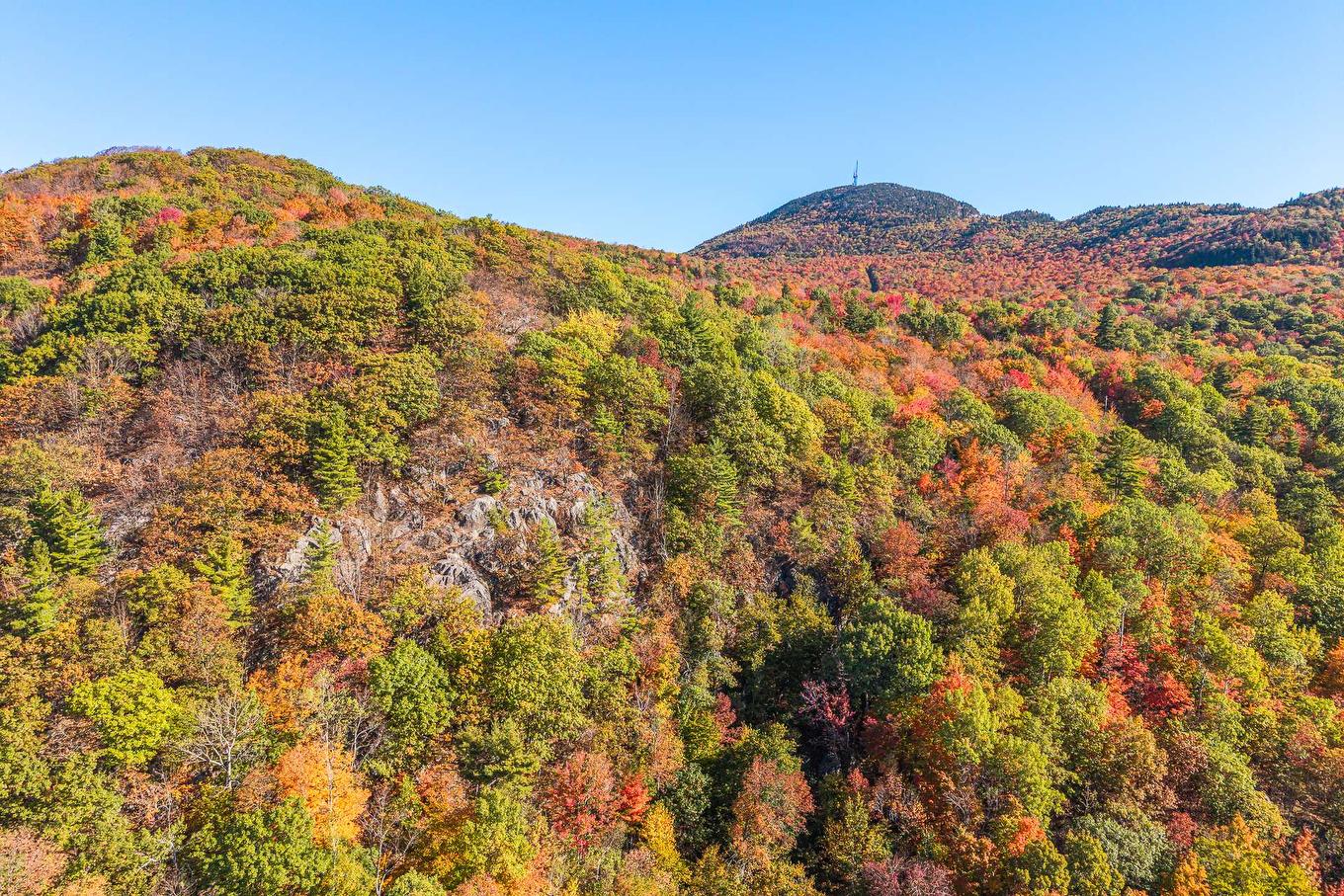 Aerial photo - Ch. Des Diligences, Austin, QC