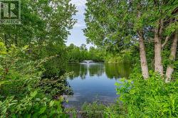 Pond with fountain -