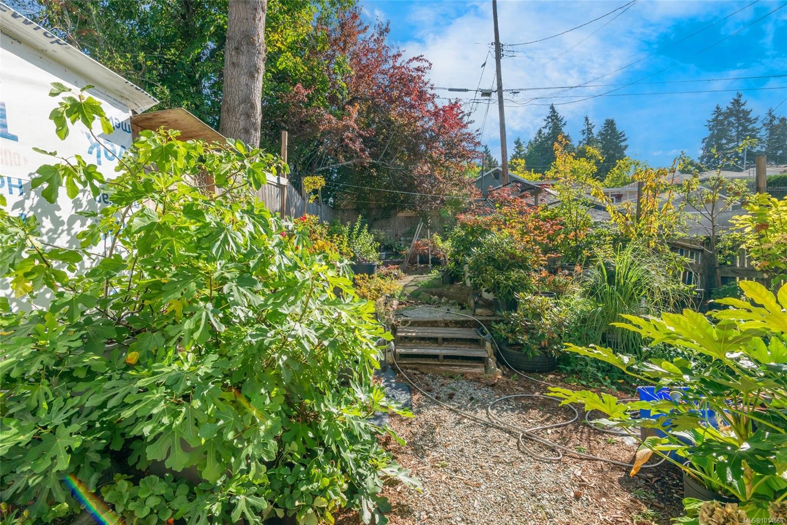 2595 2Nd Ave, Port Alberni, BC - Outdoor