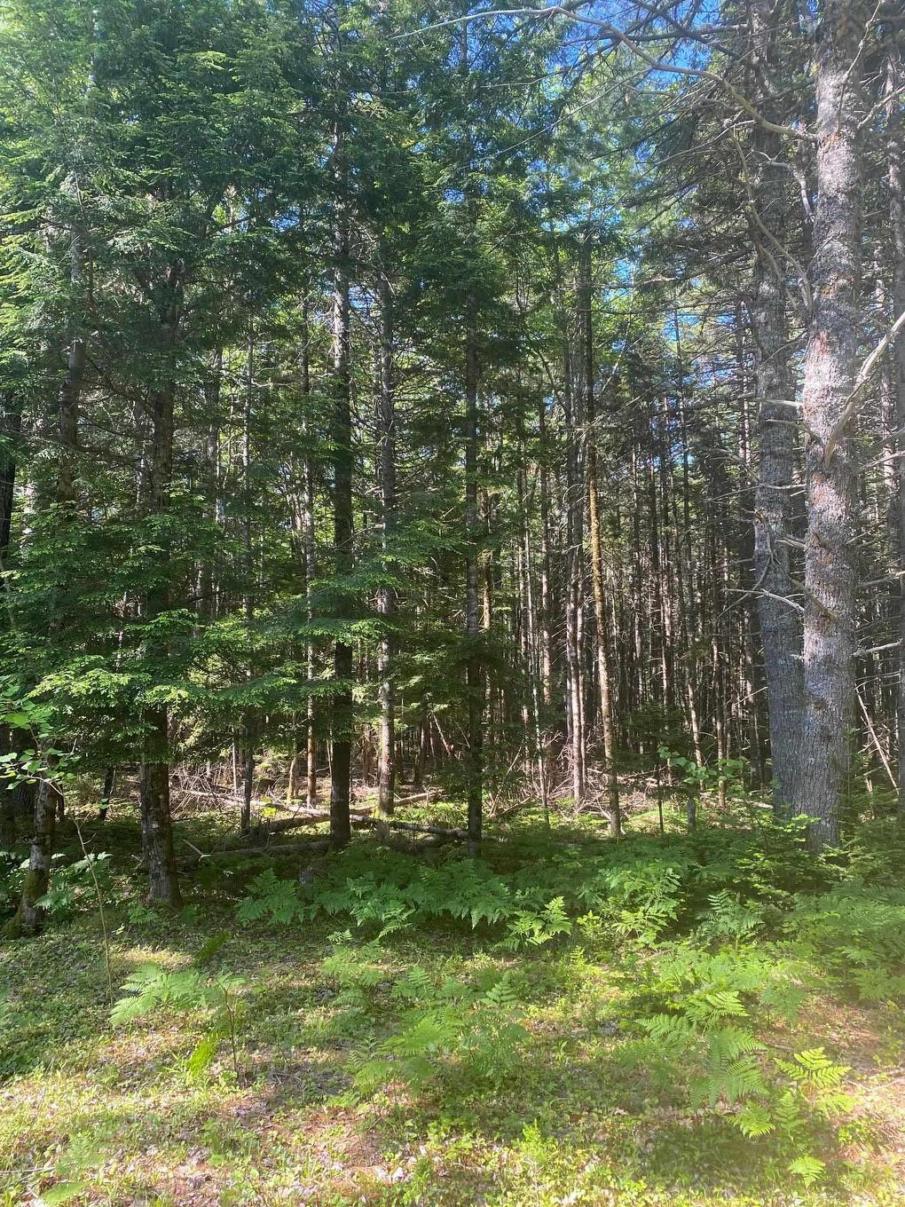 Lot Pid60493061 Huey Lake Road, Mount Pleasant, NS