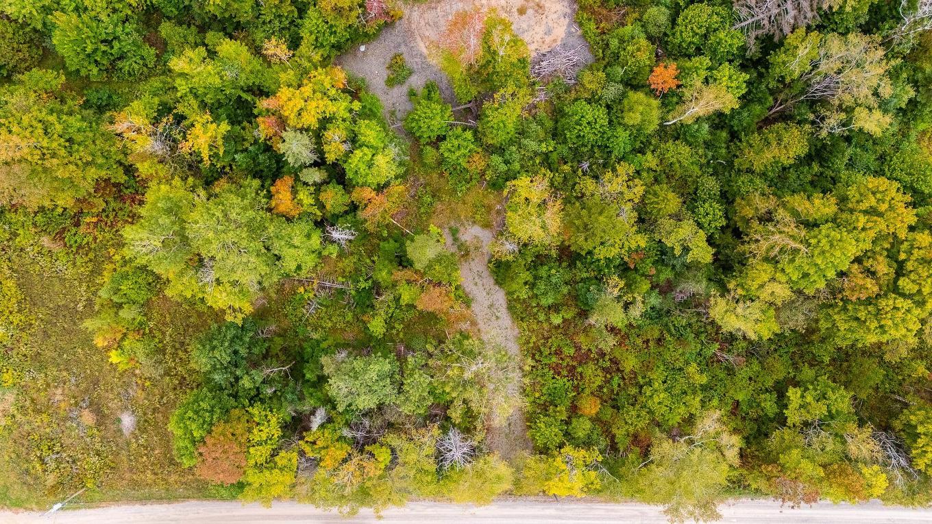 Lot 22-3 Forest Hill Road, Forest Hill, NS