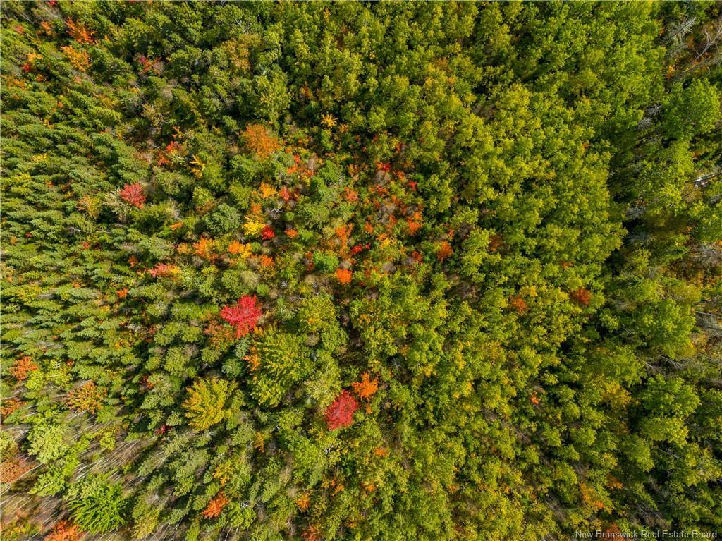 Lot 24-1 Route 134, Grande-Digue, NB