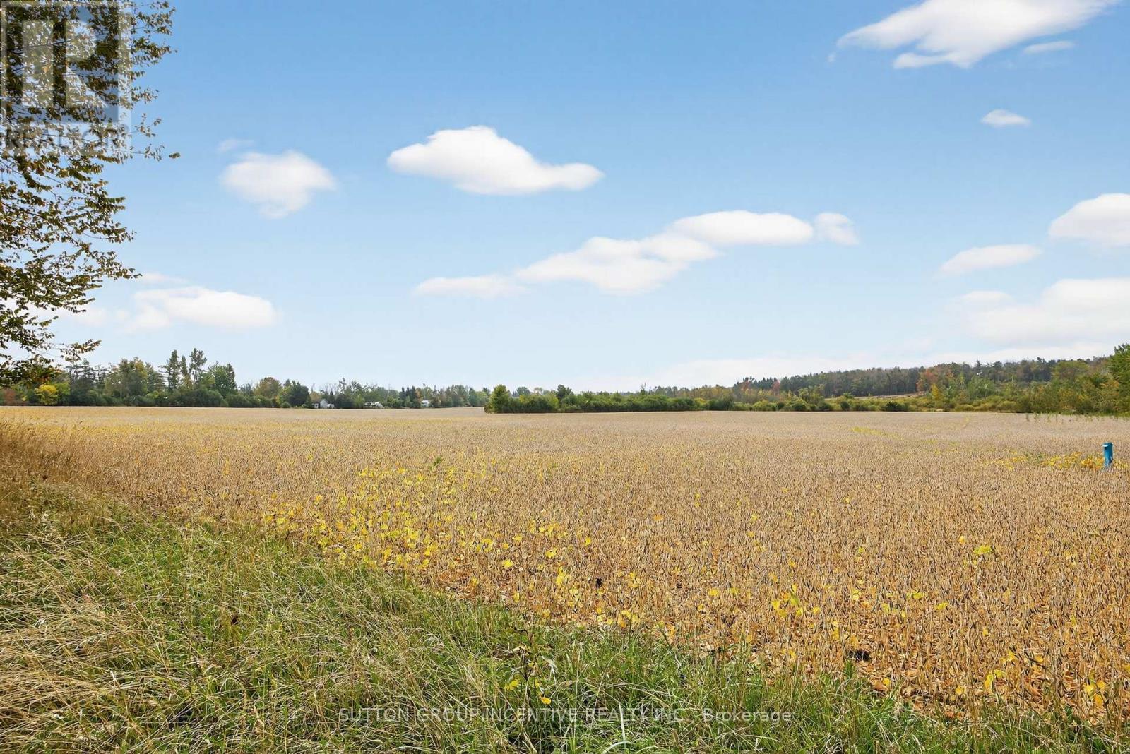 4652 Plum Point Road, Ramara, ON - Outdoor With View