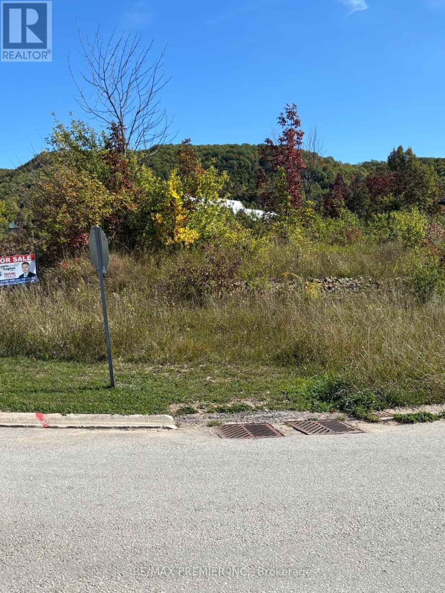 102 Maryward Crescent, Blue Mountains, ON