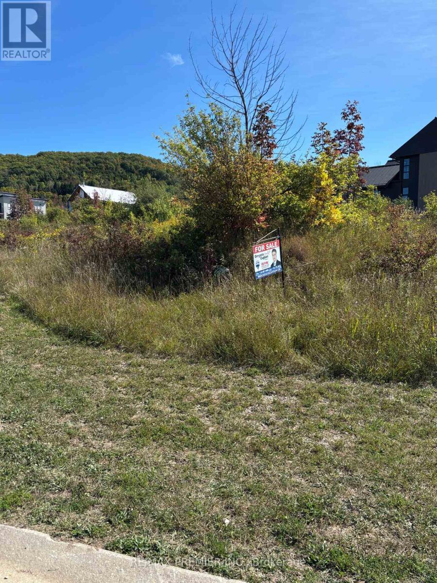 102 Maryward Crescent, Blue Mountains, ON