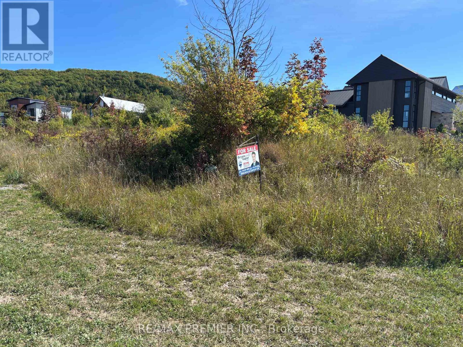 102 Maryward Crescent, Blue Mountains, ON