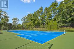 Tennis/Pickleball Courts -