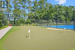 Putting Green -