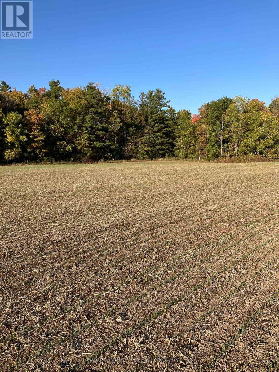 Ptlot26 Prince William Street, Lucan Biddulph (Lucan), ON