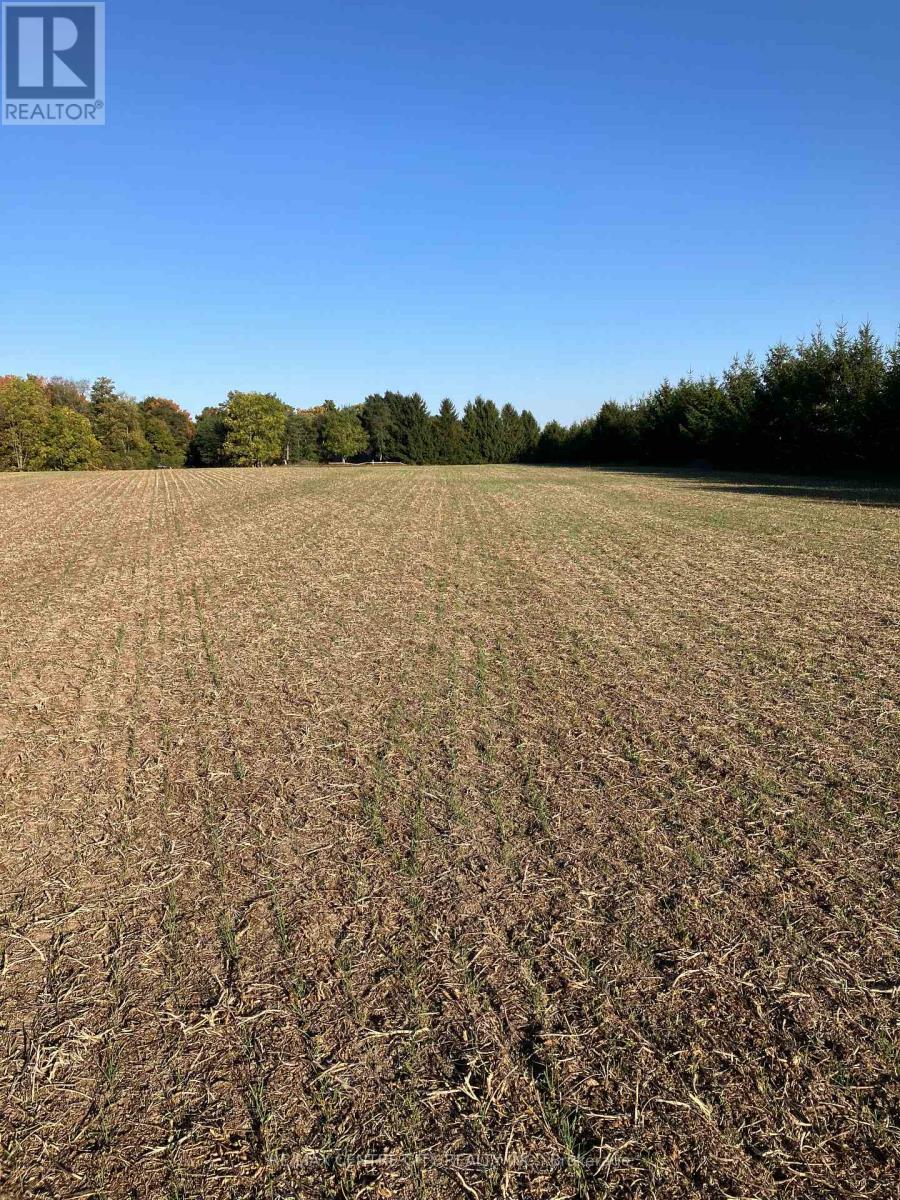 Ptlot26 Prince William Street, Lucan Biddulph (Lucan), ON