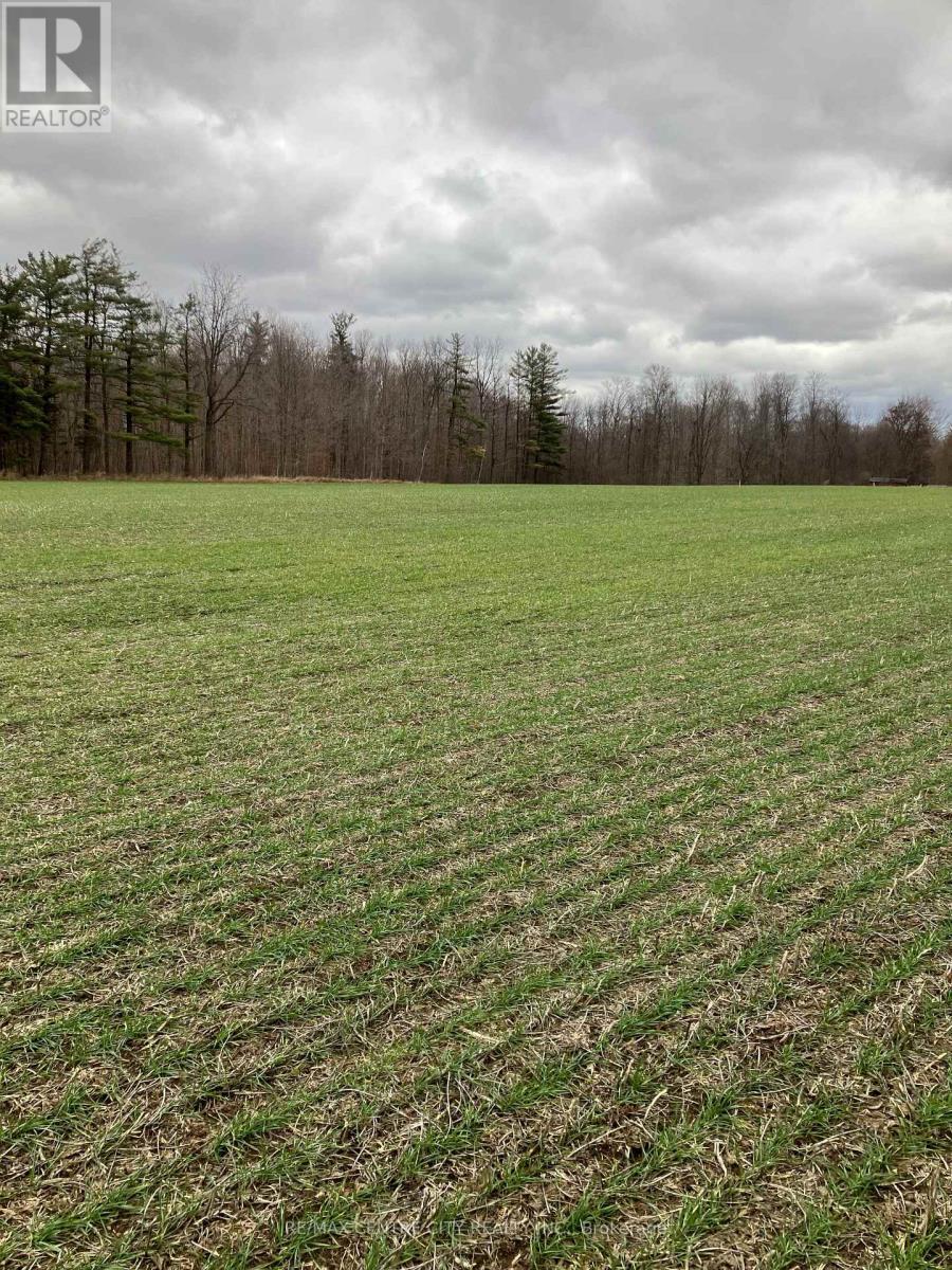 Ptlot26 Prince William Street, Lucan Biddulph (Lucan), ON