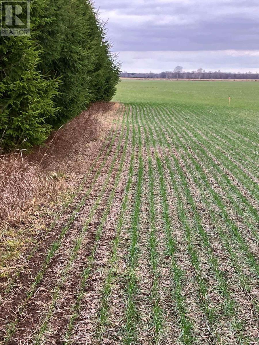 Ptlot26 Prince William Street, Lucan Biddulph (Lucan), ON