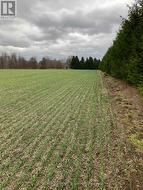 PTLOT26 PRINCE WILLIAM STREET Lucan Biddulph (Lucan), ON N0M 2J0