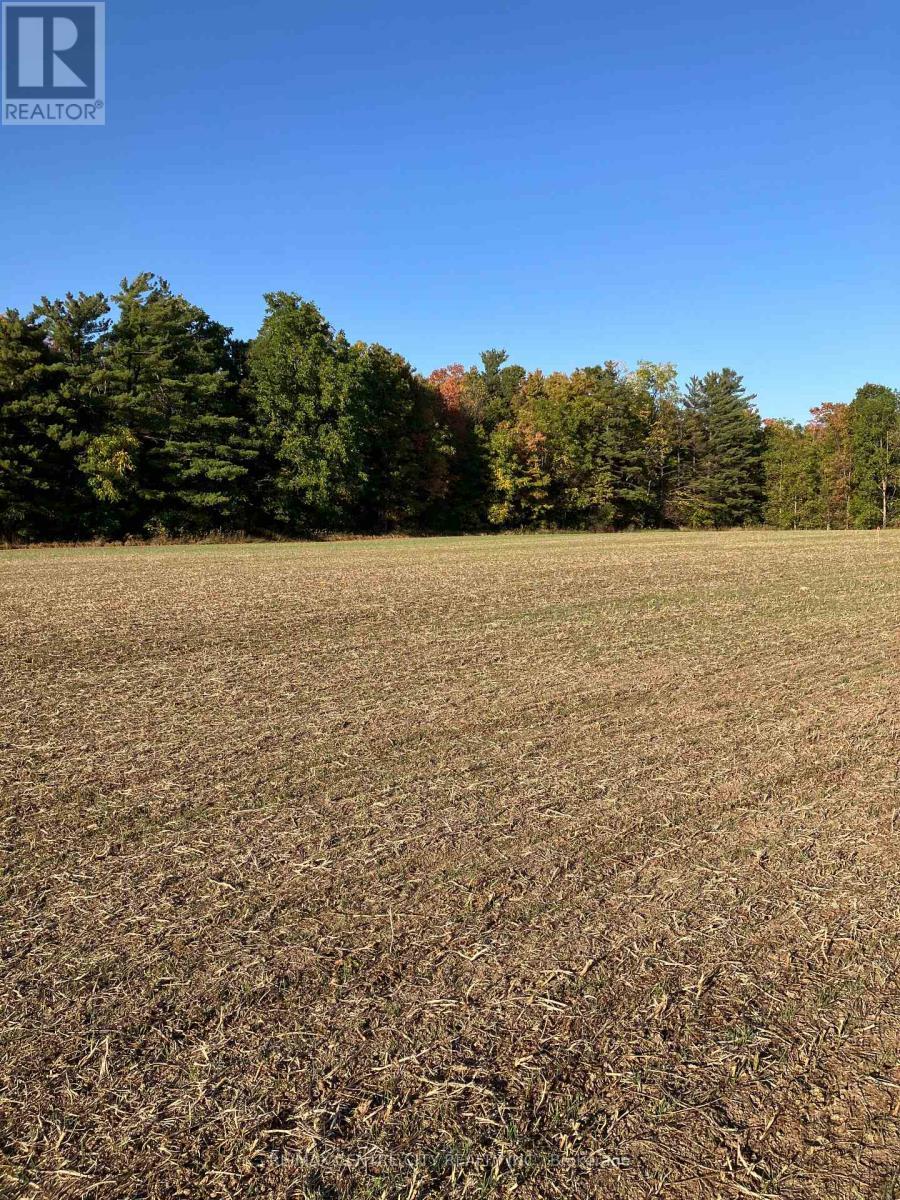 Ptlot26 Prince William Street, Lucan Biddulph (Lucan), ON