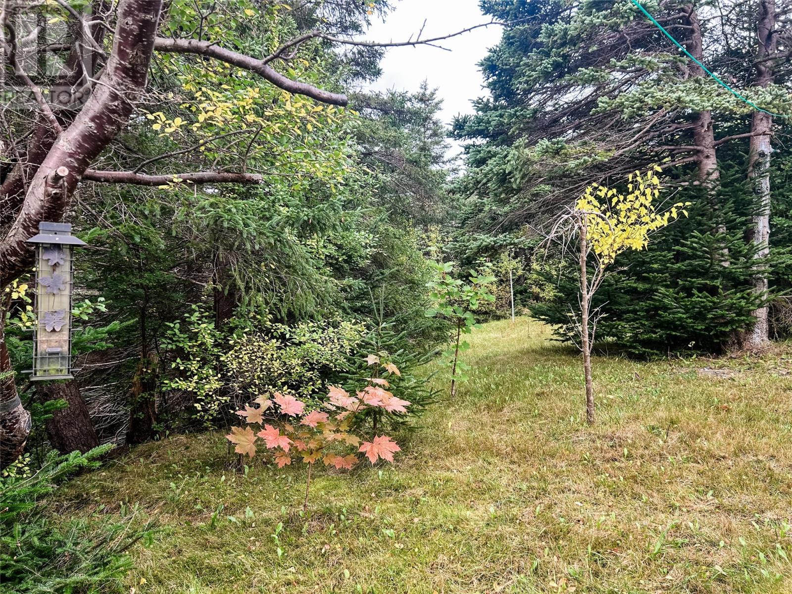 2 Collins Lane, Marystown, NL - Outdoor