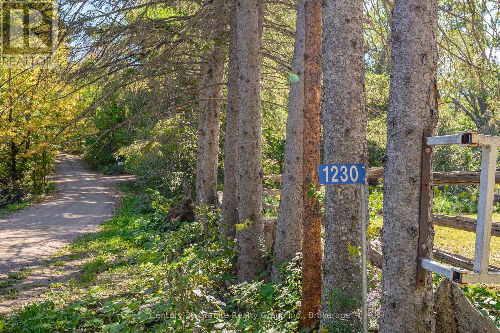 1230 Forsters Road, Minden Hills (Lutterworth), ON - Outdoor With View