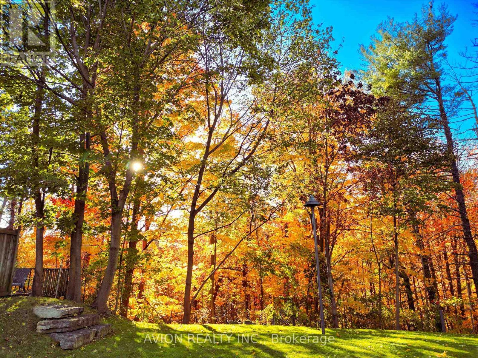 38 Purdon Drive, Toronto, ON - Outdoor With View